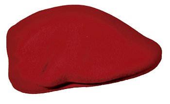 Fandron women's winter cap Red